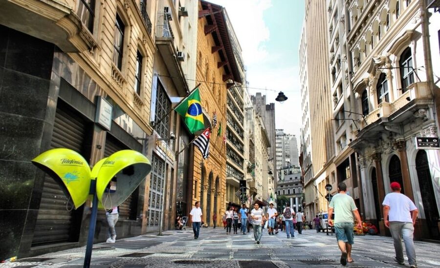 São Paulo: Full-Day Guided City Tour from the Port of Santos - Who should book this São Paulo day trip