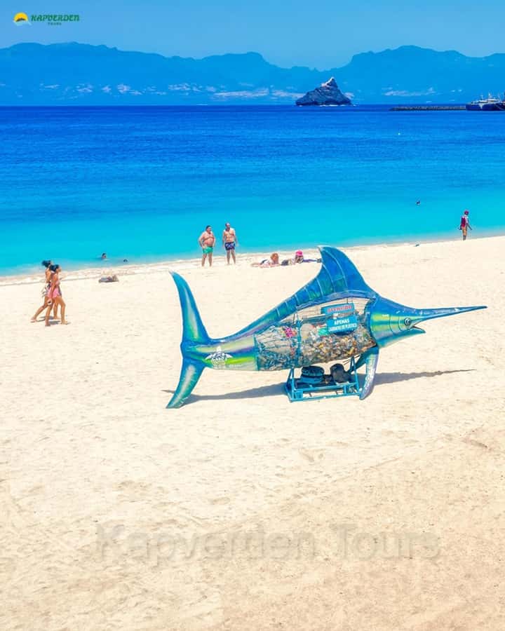 São Vicente: Highligts tour for cruise ship travelers - Why this São Vicente tour works well from a cruise ship