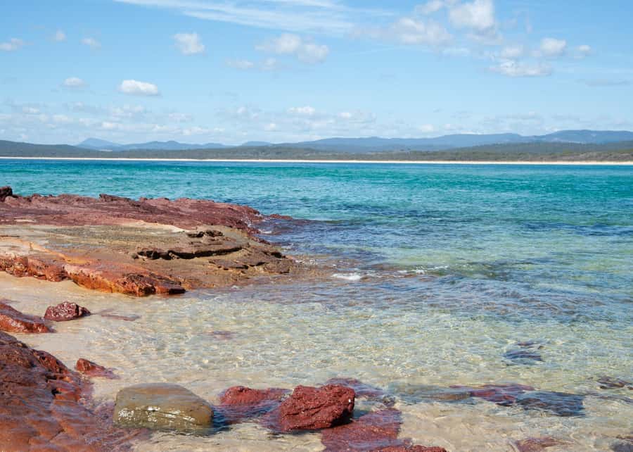 Sapphire Coast: 7h Shore Excursion with Aussie Morning Tea - Pambula Beach closes the day
