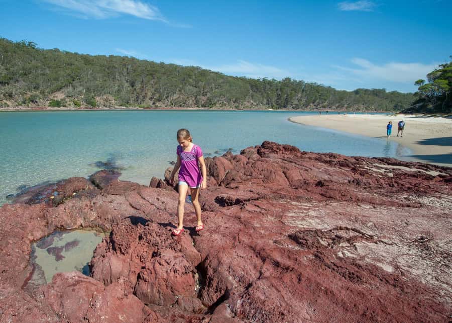 Sapphire Coast: 7h Shore Excursion with Aussie Morning Tea - Who should book this Sapphire Coast day?