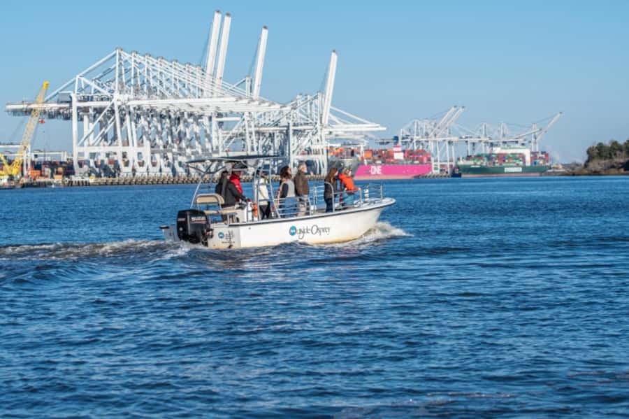 Savannah: 90-Minute Informational Port Tour - Starting beside Savannah’s Historic Riverfront