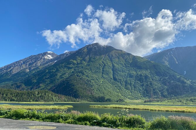 Seward: To Anchorage Full Day Transit Tour with Port Pickup - Key points at a glance