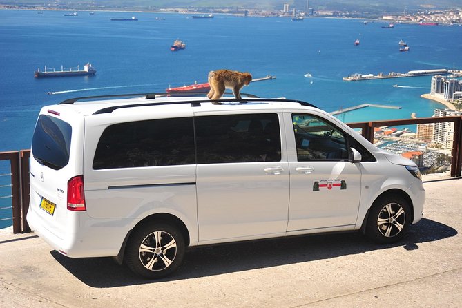 SHORE EXCURSION 3.30hrs Half Day Tour - Meeting Gibraltar’s famous macaques