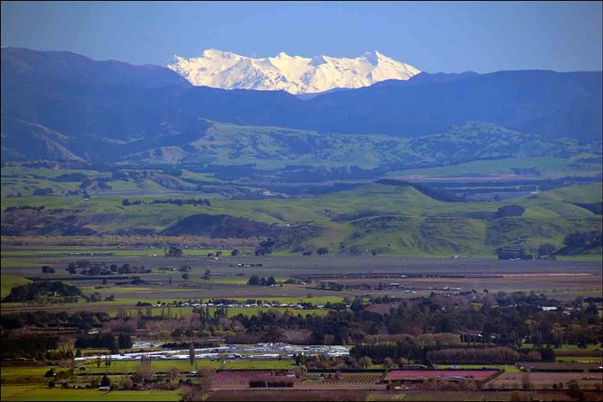 Shore Excursion: 4-Hour Discover Hawkes Bay and Napier Tour - Arataki Honey and the tasting stop