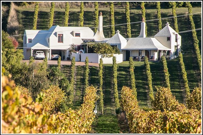 Shore Excursion: 4-Hour Discover Hawkes Bay and Napier Tour - Te Mata Peak and the best view of the day