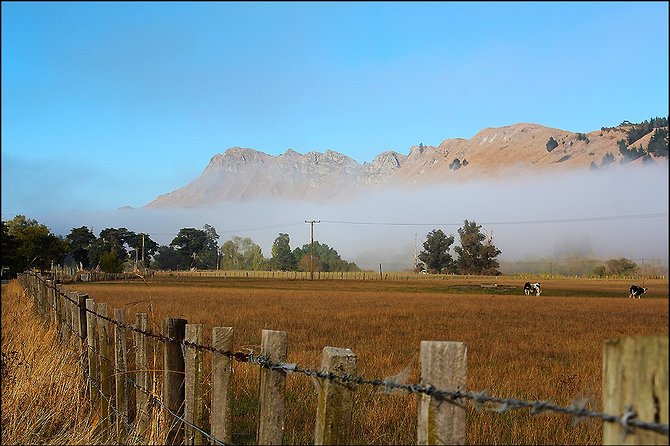 Shore Excursion: 4-Hour Discover Hawkes Bay and Napier Tour - Guides, commentary, and the small-group format