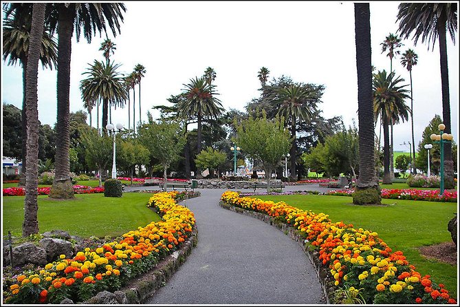 Shore Excursion: 4-Hour Discover Hawkes Bay and Napier Tour - Is $83.78 a fair price?