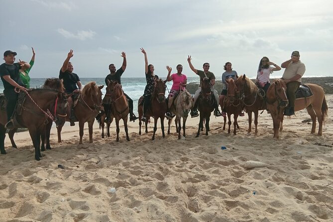 Shore Excursion Aruba’s Ecological and Beach Horseback Riding - Key points at a glance