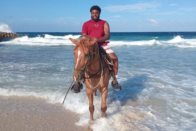 Shore Excursion Aruba’s Ecological and Beach Horseback Riding - What the $95 price includes in practical terms