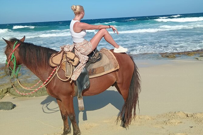 Shore Excursion Aruba’s Ecological and Beach Horseback Riding - Who will enjoy this Aruba ride most