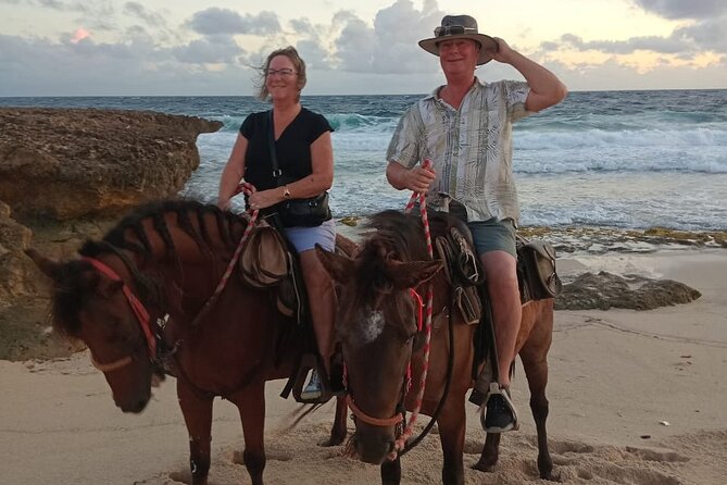 Shore Excursion Aruba’s Ecological and Beach Horseback Riding - A small review record, with strong early feedback