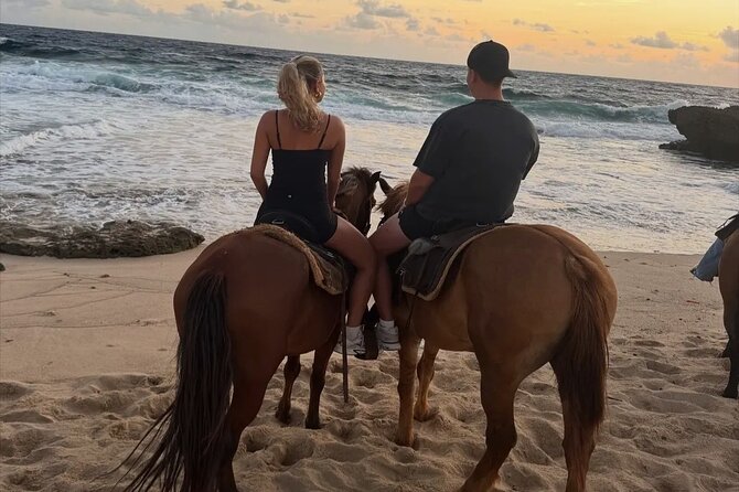 Shore Excursion Aruba’s Ecological and Beach Horseback Riding - Quiet ecological trails and Aruba’s rougher scenery