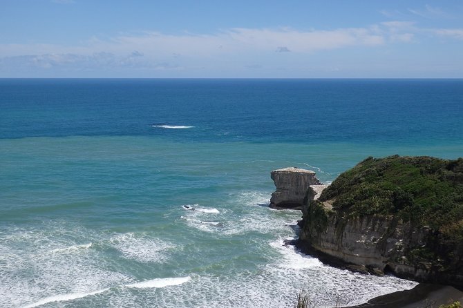 Shore Excursion: Auckland Scenic Full Day Tour - 8 Hours - Riverhead lunch and the shift to rural Auckland