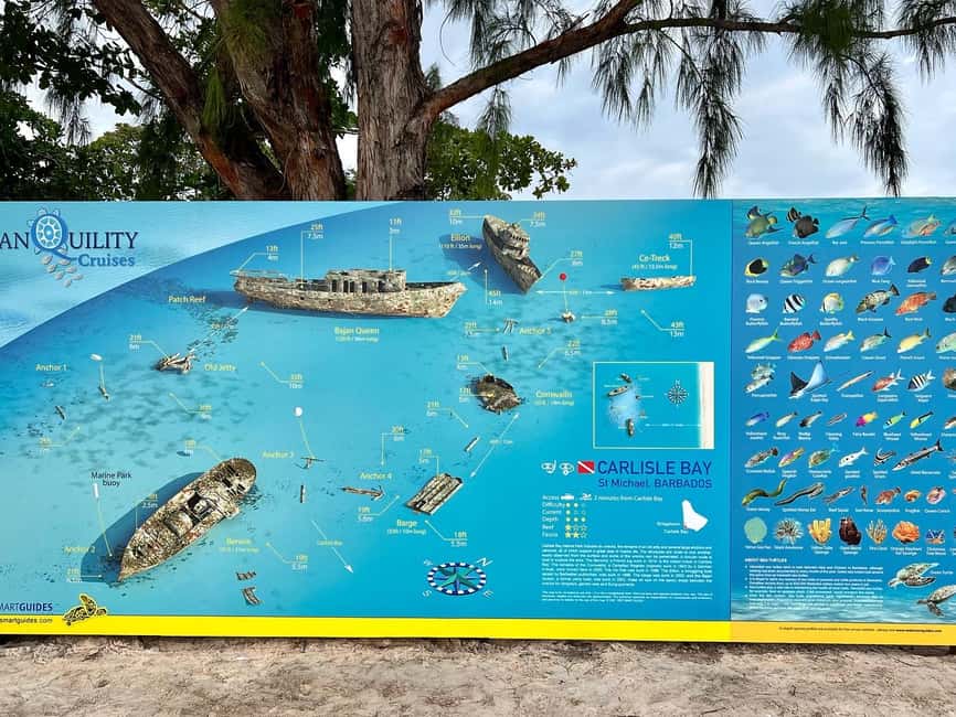 Shore Excursion Barbados Beach Day & Turtle Swim Experience - Savvy on The Bay and Your Reserved Spot in the Sand