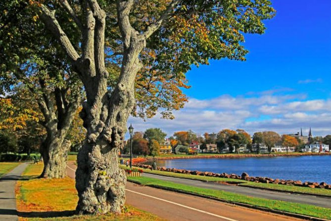 Shore Excursion: Charlottetown Highlights & Delights - A quick introduction to Charlottetown
