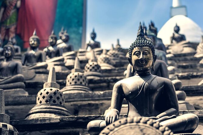 Shore Excursion Colombo City Tour Highlights - Key points to know before booking