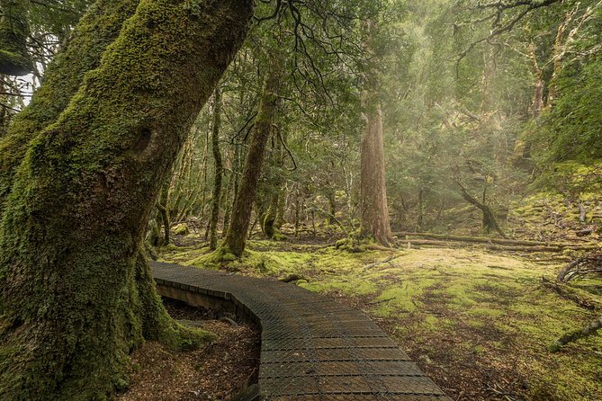 Shore Excursion - Cradle Mountain Shuttle Bus from Burnie - Choosing a walk with limited time