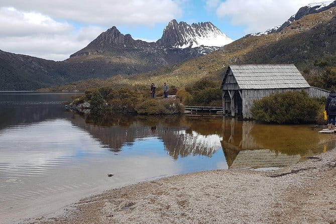 Shore Excursion - Cradle Mountain Shuttle Bus from Burnie - Wildlife is one of the tour’s biggest rewards