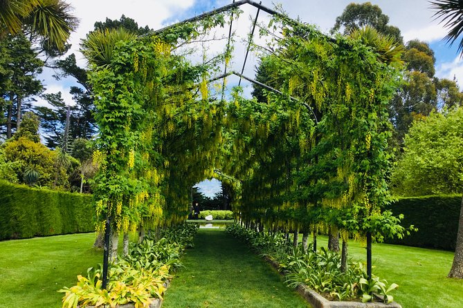 Shore Excursion: Dunedin City, Otago Peninsula, Castle Gardens & Olveston Tour - The Otago Peninsula drive is part of the experience