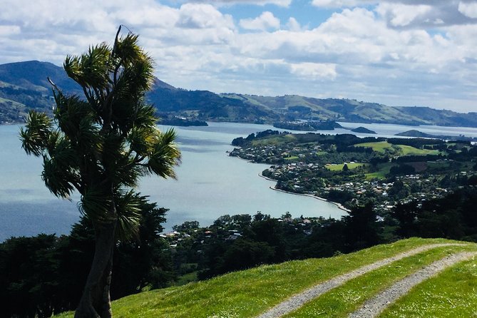 Shore Excursion: Dunedin City, Otago Peninsula, Castle Gardens & Olveston Tour - Botanic Garden and university life