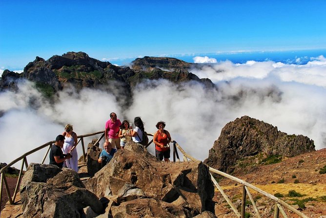 Shore Excursion - East Madeira Peaks & Santana - Ribeiro Frio brings you into the forest