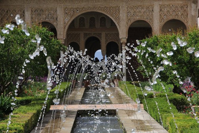 Shore Excursion from Almeria: Alhambra and Generalife Gardens - The Nasrid Palaces and their delicate details