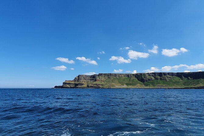 Shore Excursion from Belfast to Giants Causeway & Rope Bridge - Giant’s Causeway and the hexagonal columns