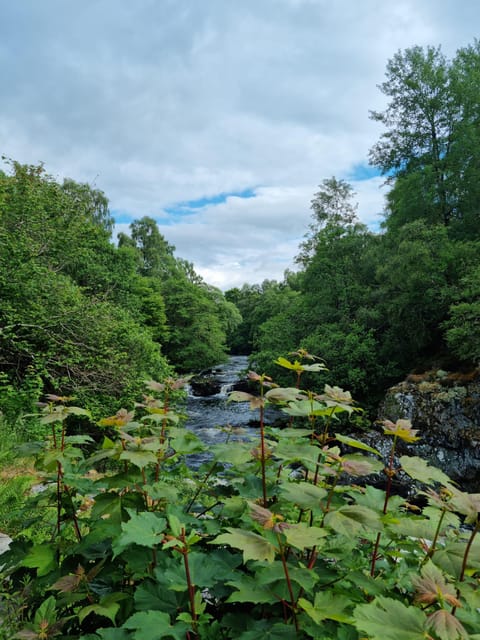 Shore excursion from Invergordon - Castles, Scenery & Whisky - What the $902 price gets you