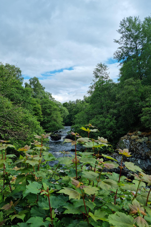 Shore excursion from Invergordon - Castles, Scenery & Whisky - Who will get the most from this tour