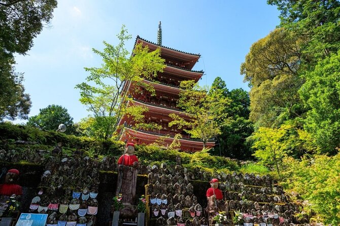 Shore Excursion Full Day Private Kochi Tour from Kochi port - Kochi Castle, original stone and city views