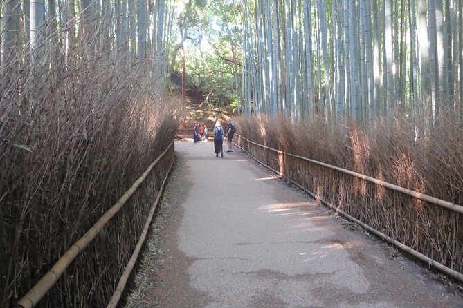 Shore excursion: Full Day Private Kyoto Tour From Osaka/Kobe Port - Gion and Pontocho: old Kyoto streets with limited guarantees