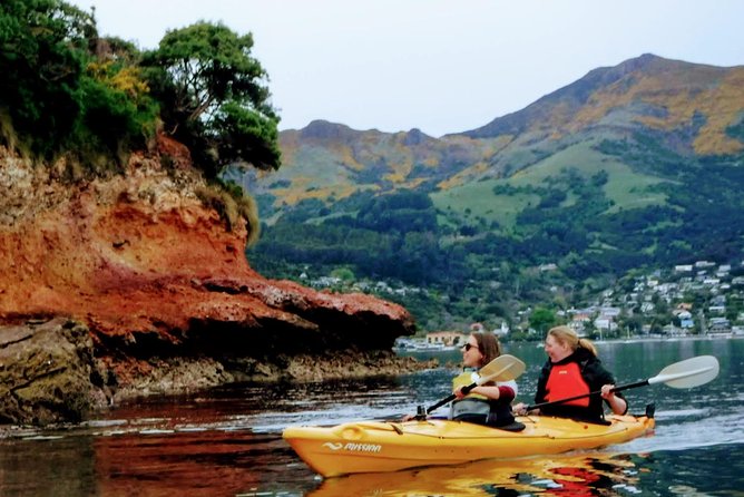 Shore Excursion Guided Sea Kayaking through Akaroa Marine Reserve - What the two to three hours include
