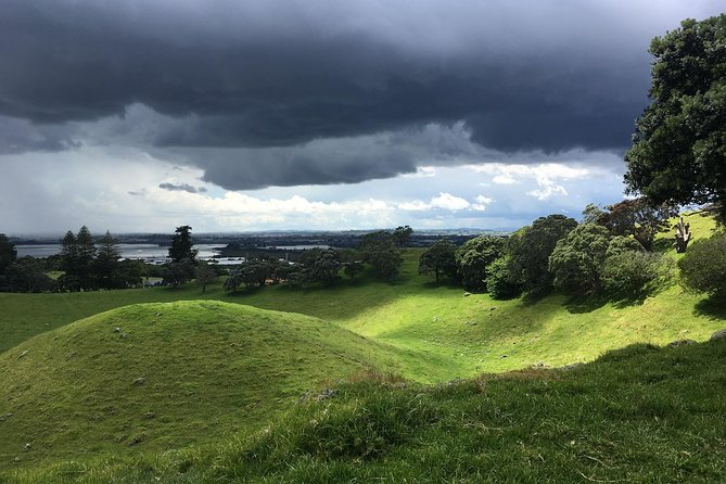 Shore Excursion: Half-Day Auckland Volcanoes Tour - Is $179.97 a fair price?
