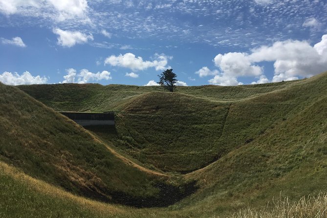 Shore Excursion: Half-Day Auckland Volcanoes Tour - Achilles Point opens with island views