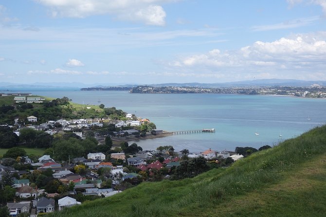Shore Excursion: Half Day Small Group Auckland Scenic Tour - 4 HOURS - Crossing the Auckland Harbour Bridge to Devonport