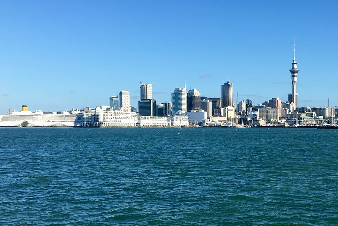 Shore Excursion: Half Day Small Group Auckland Scenic Tour - 4 HOURS - Achilles Point and the Hauraki Gulf