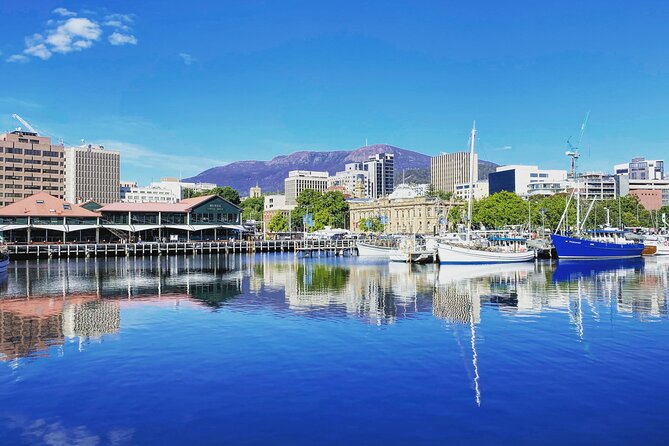 Shore Excursion: Hobart Highlights Day Tour - A quick taste at Wicked Cheese
