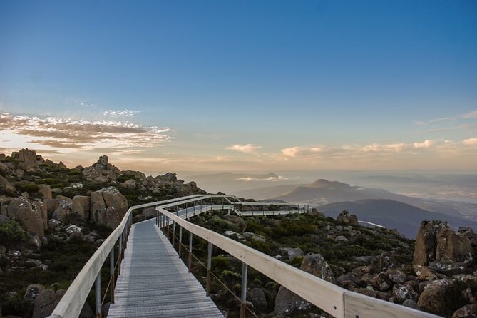 Shore Excursion: Hobart Highlights Day Tour - A practical look at the $107.59 price