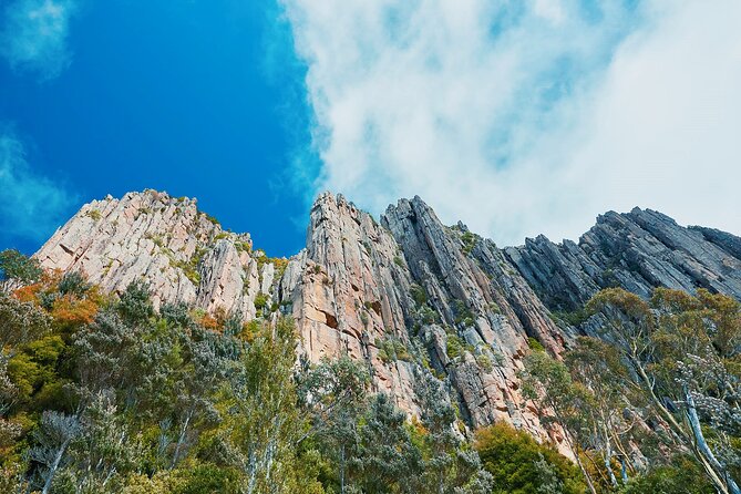 Shore Excursion: Hobart Wanderer - A full day that shows Tasmania in miniature