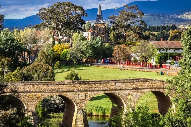 Shore Excursion: Hobart Wanderer - Bonorong is the emotional highlight