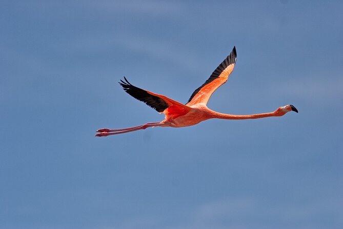 Shore Excursion Island Tour with Cultural Museum with beach drop off - How the $75.50 price makes sense