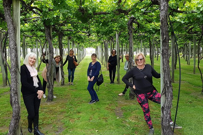 Shore Excursion Marlborough Wine Region Tour from Picton - Is $148.94 good value?