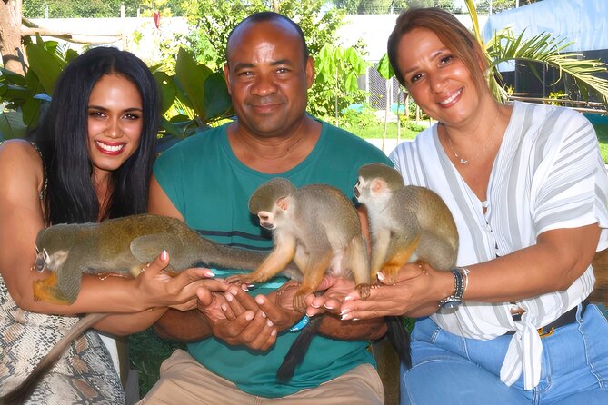 Shore Excursion Monkey Encounter and Puerto Plata City Tour - Key points to know before booking