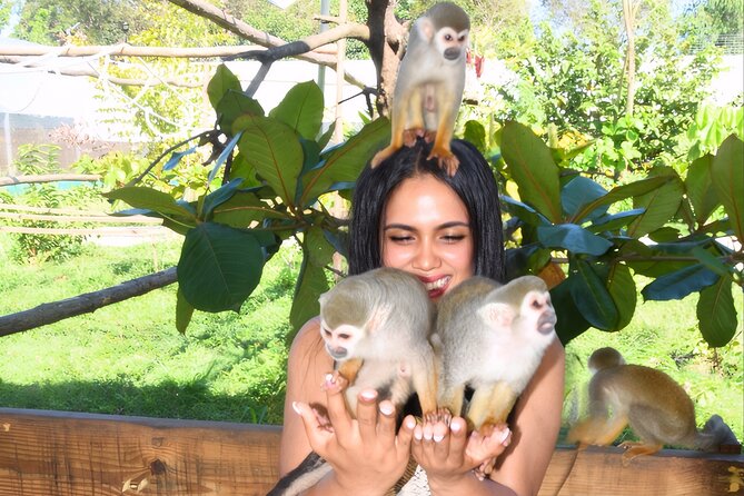 Shore Excursion Monkey Encounter and Puerto Plata City Tour - Starting with Puerto Plata’s colorful downtown streets