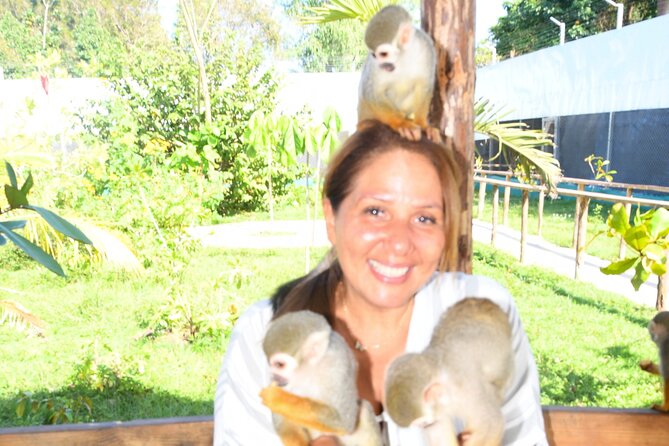 Shore Excursion Monkey Encounter and Puerto Plata City Tour - The Atlantic waterfront and La Puntilla