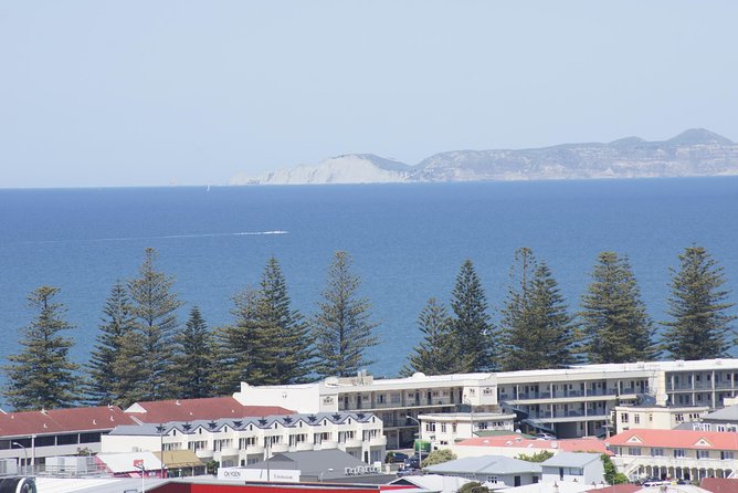 Shore Excursion: Napier and Surrounding Countryside Scenic Tour - Marewa shows Art Deco beyond the center