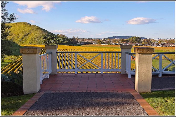 Shore Excursion: Napier/ Hawke's Bay & Premium Wineries tour - Cruise timing and pickup require attention