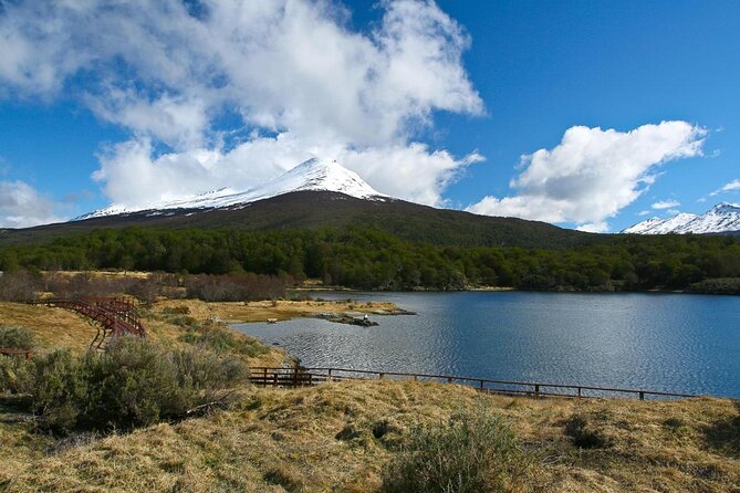Shore Excursion - National Park Tierra del Fuego - Key points to know before booking