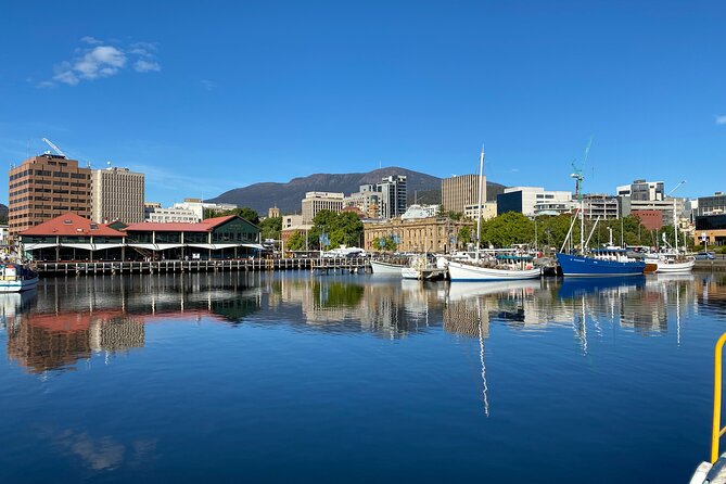 Shore Excursion: Nipaluna (Hobart) Highlights - How the schedule works for cruise passengers