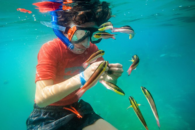Shore Excursion Premium Family Snorkeling Experience - Who should choose this excursion?
